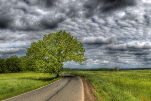 从赛场到指尖,电竞短视频重新定义“游戏玩家” 从赛场到指尖,电竞短视频重新定义“游戏玩家”
